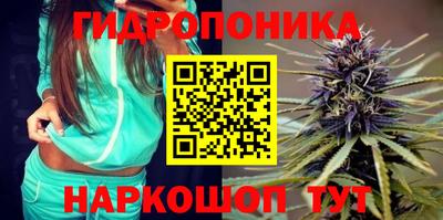 дмт Ливны