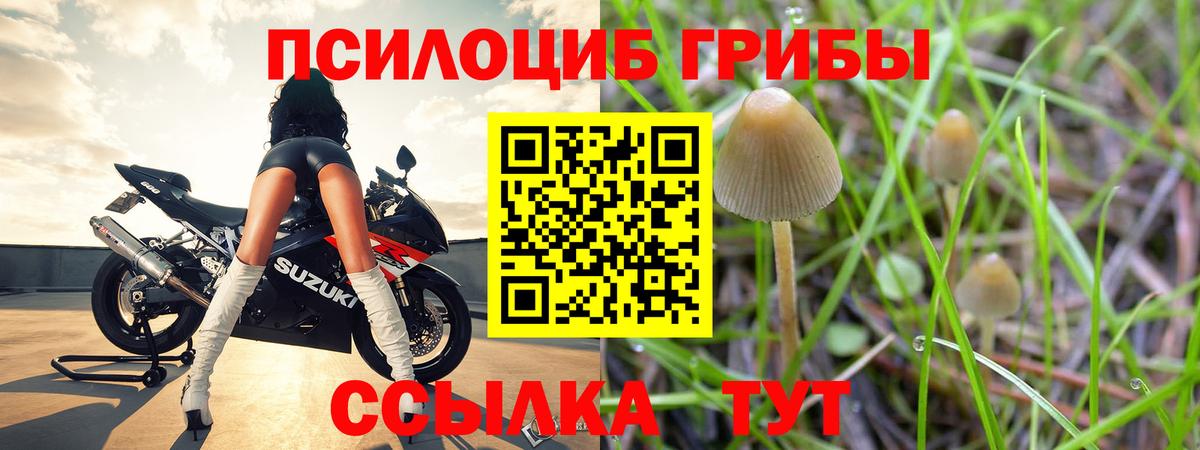 Галлюциногенные грибы мухоморы  Галлюциногенные грибы MAGIC MUSHROOMS  Пугачёв  Вход с VPN 